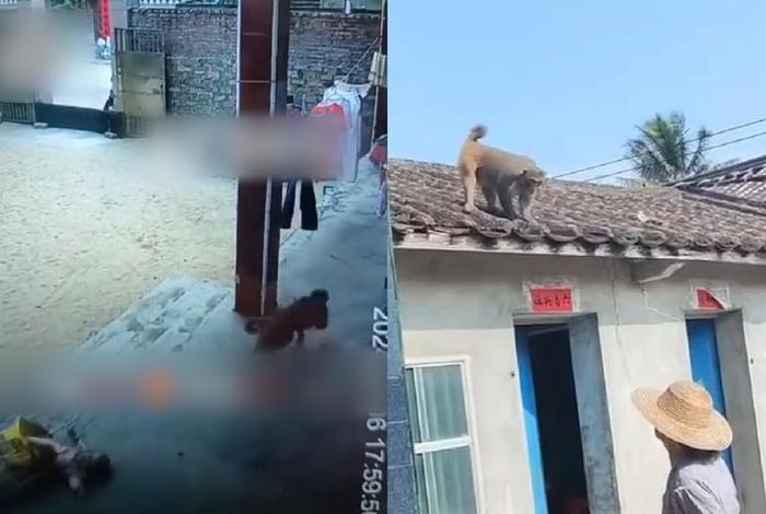 二人生猴子全程不盖被子免费观看宜新视频(两个人生猴子) 二人生猴子全程不盖被子免费观看宜新视频(两个人生猴子)