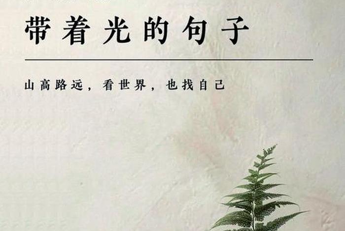 生活不止苟且是什么意思；生活不止苟且是什么意思是什么