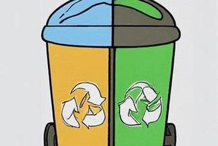 生活中的分类图片 生活中的分类图片简笔画 生活中的分类图片 生活中的分类图片简笔画