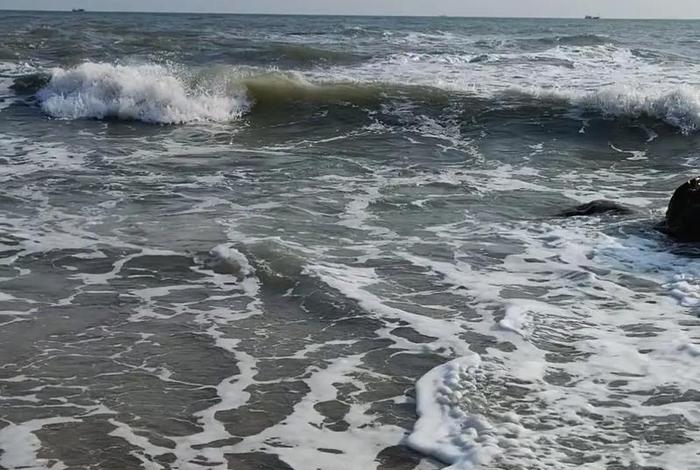 生活的浪花视频，生活的浪花视频在线观看