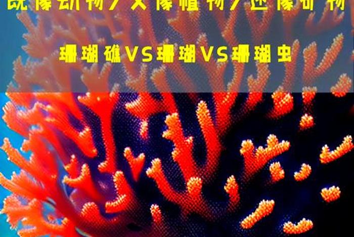珊瑚生活在什么地质年代、珊瑚全部生活在海洋中吗 珊瑚生活在什么地质年代、珊瑚全部生活在海洋中吗