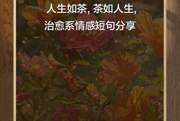 生活与茶感悟经典句子 - 生活与茶的句子