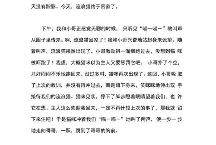 流浪猫的作文,帮助流浪猫的作文 流浪猫的作文,帮助流浪猫的作文