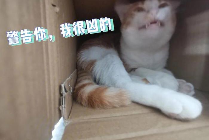 阿兵的生活日记 - 阿兵的日常快乐生活 阿兵的生活日记 - 阿兵的日常快乐生活