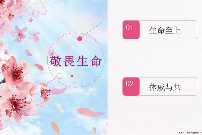 敬畏生命ppt课件免费(敬畏生命ppt课件免费下载) 敬畏生命ppt课件免费(敬畏生命ppt课件免费下载)