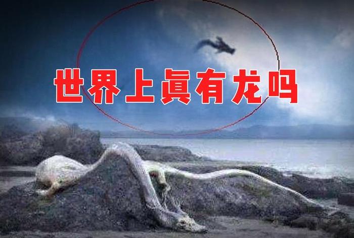 龙在哪里生活真实记载(龙在什么地方现身) 龙在哪里生活真实记载(龙在什么地方现身)
