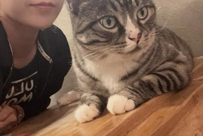 爱猫生活小组创始人;爱猫生活组邪教 爱猫生活小组创始人;爱猫生活组邪教