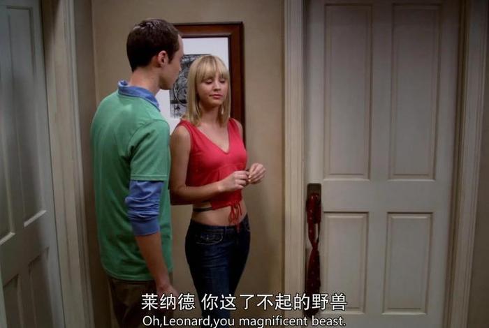 生活大爆炸佩妮结婚 - 生活大爆炸佩妮结婚第几集