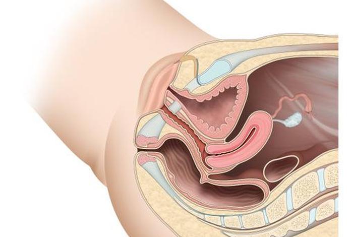美女的生殖图片 女美女人生 美女的生殖图片 女美女人生