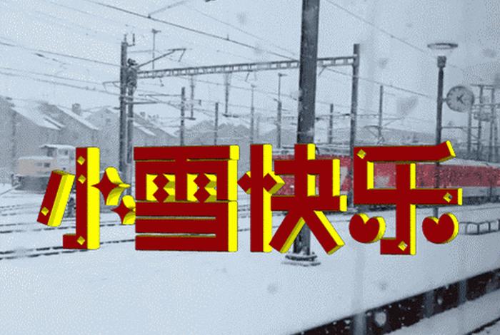 小雪的生活小课堂、播放播放小雪