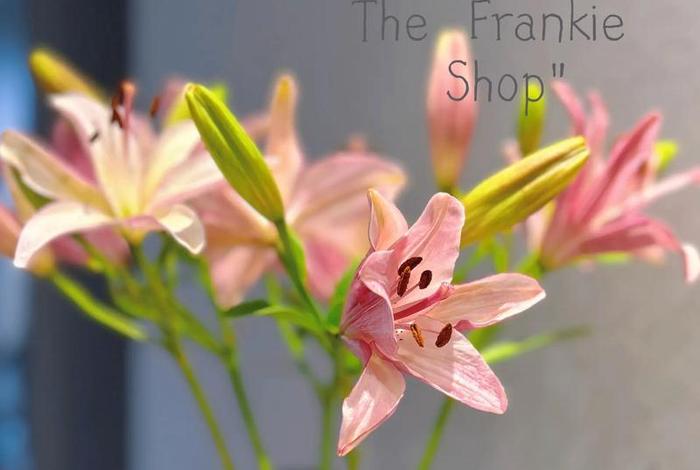 有品质的生活才是原本生活的样子 - 真正有品质的生活 有品质的生活才是原本生活的样子 - 真正有品质的生活