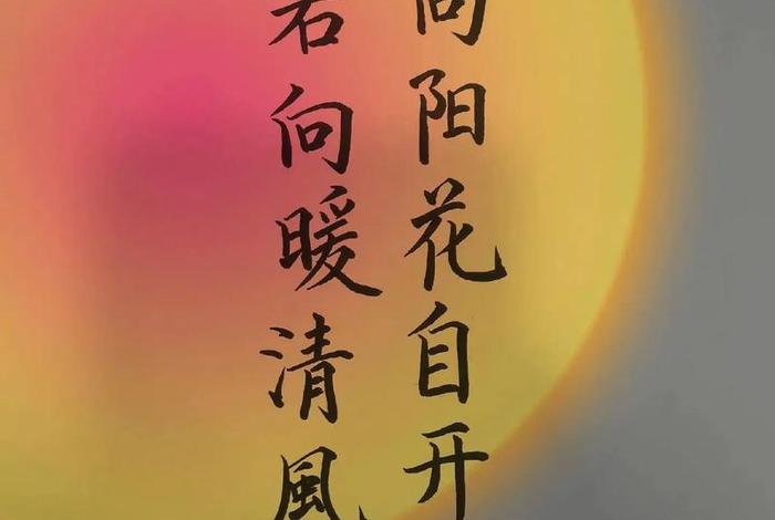 心向远方生活有光、心向阳光必有诗和远方