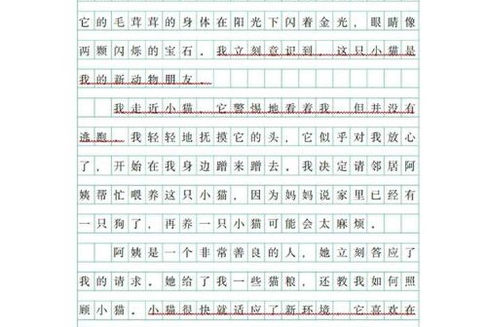 流浪猫的生活作文、流浪猫的一生作文