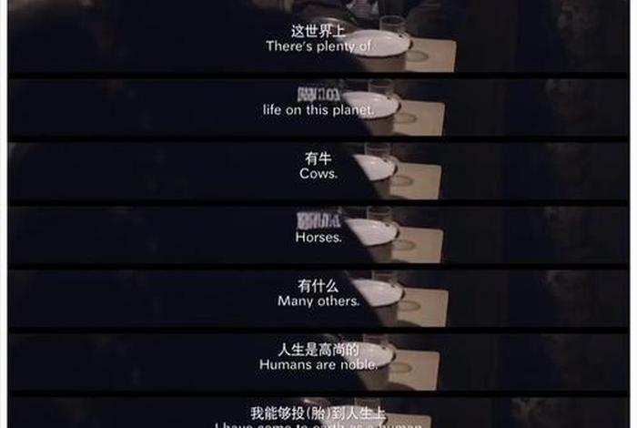 生活万岁,生活万岁纪录片 生活万岁,生活万岁纪录片