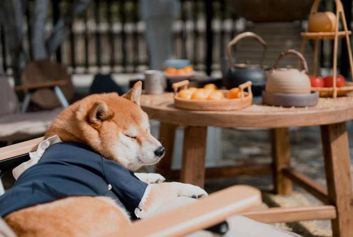 安逸的图片配图，安逸 图片