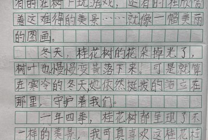 校园生活日记三年级;校园生活日记三年级上册 校园生活日记三年级;校园生活日记三年级上册