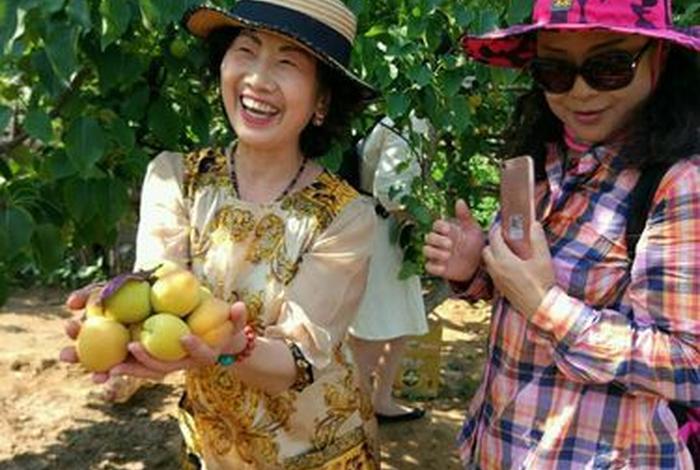 幸福快乐的生活原唱 幸福快乐的生活着