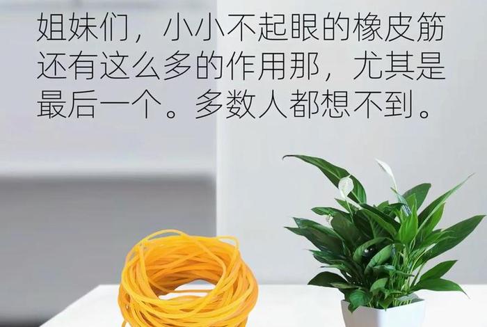 生活实用小技巧短视频(生活小妙招短视频) 生活实用小技巧短视频(生活小妙招短视频)