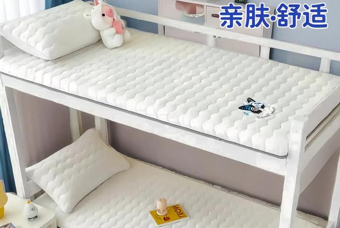 大学寝室床 - 大学寝室床垫买什么材质比较好