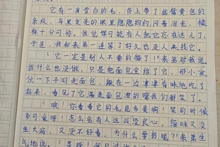 生活中有哪些现象或问题引起了你的关注三年级作文，生活中哪些现象或问题引起你的关注作文300字