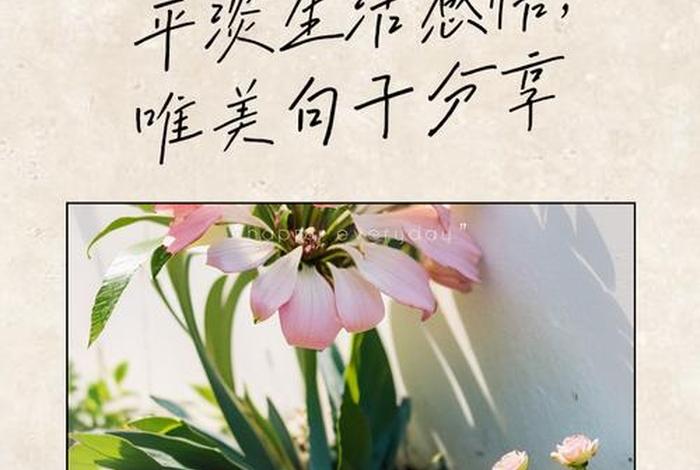 生活很平淡的图片、生活平淡的照片