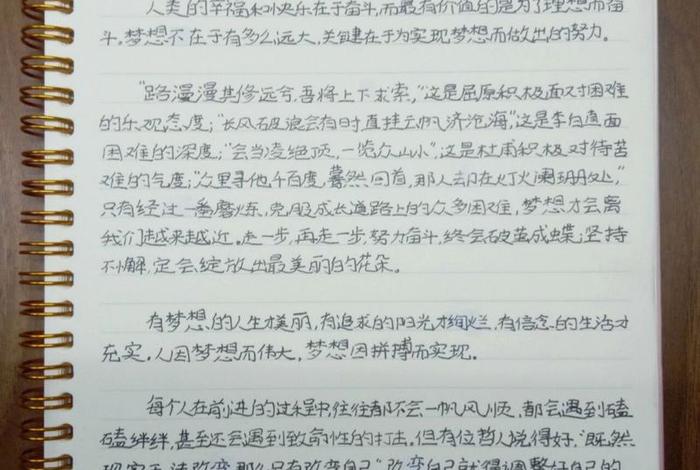 生活与梦想不可兼得；生活和梦想可以共存嘛之类的文章