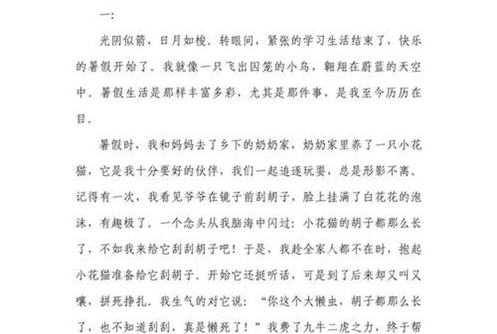 暑假生活作文500字、暑假生活 500字 暑假生活作文500字、暑假生活 500字