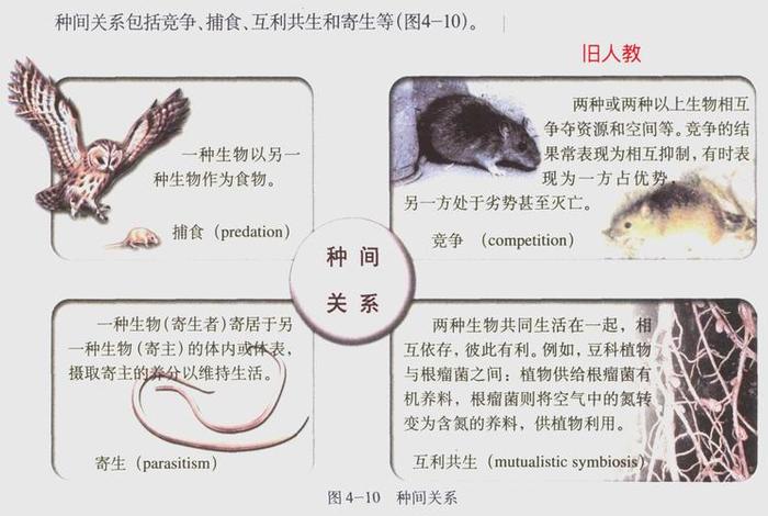 生物与生活的关系，生物与日常生活的联系