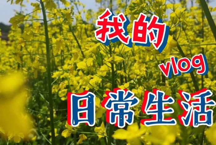 我的生活2现场版;我的生活vlog 我的生活2现场版;我的生活vlog