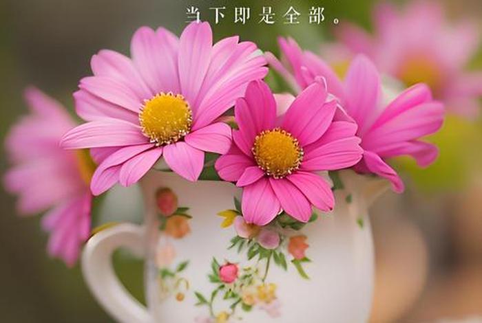 早安生活图片，早安生活照