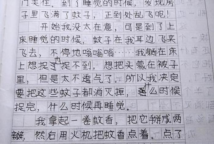 生活小妙招作文300字以上、生活小妙招作文350字