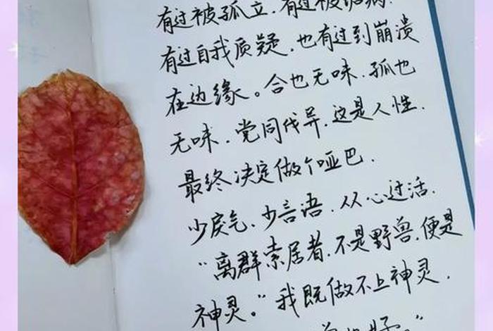 依然热爱生活原文,依然热爱生活的前一句 依然热爱生活原文,依然热爱生活的前一句