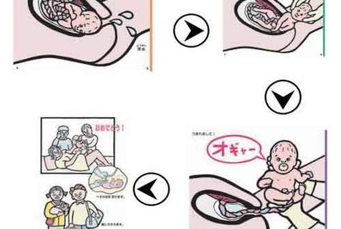 姓生活视频免费的 - 性生活视频教育材料 姓生活视频免费的 - 性生活视频教育材料