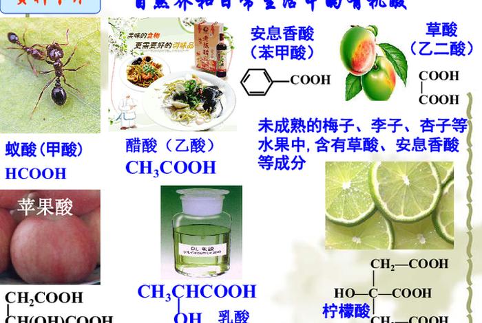 生活中的有机物图片，生活中的有机物及其作用