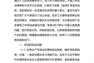 2024年5个对照个人剖析材料 2024年5个对照个人剖析材料工作能力