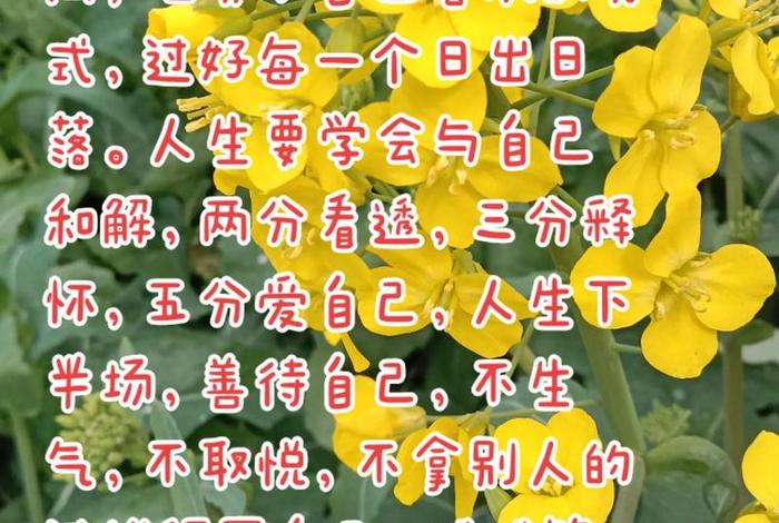 生活态度积极向上的句子 生活态度积极向上的说说