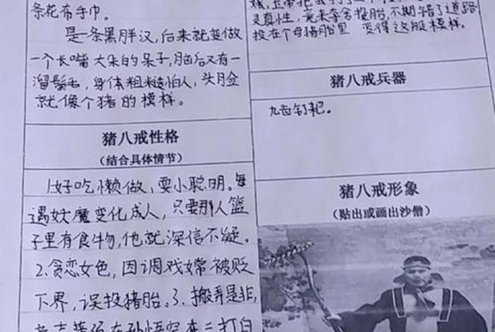 八戒生活语录(八戒生活语录大全) 八戒生活语录(八戒生活语录大全)