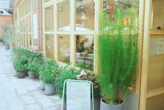 加减生活科技有限公司官网(加减木生活馆) 加减生活科技有限公司官网(加减木生活馆)