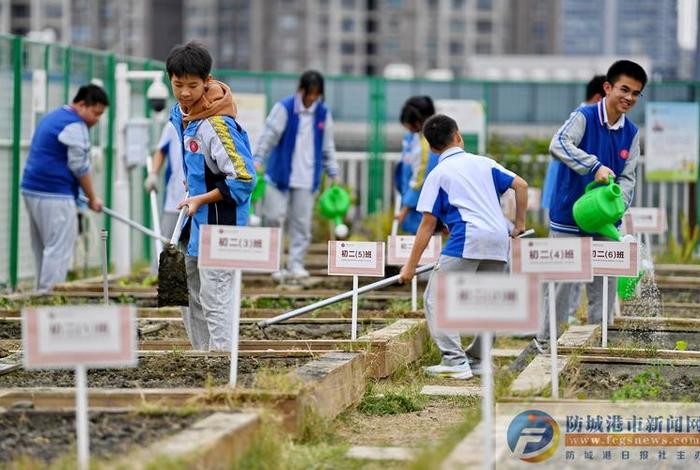 生活技能有哪些方面初中生 生活技能有哪些项目 生活技能有哪些方面初中生 生活技能有哪些项目