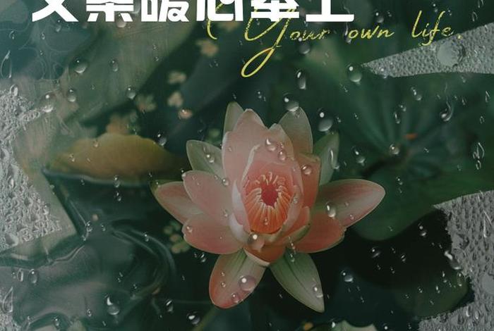 对生活充满希望的文案 生活很暖很治愈的短句 对生活充满希望的文案 生活很暖很治愈的短句