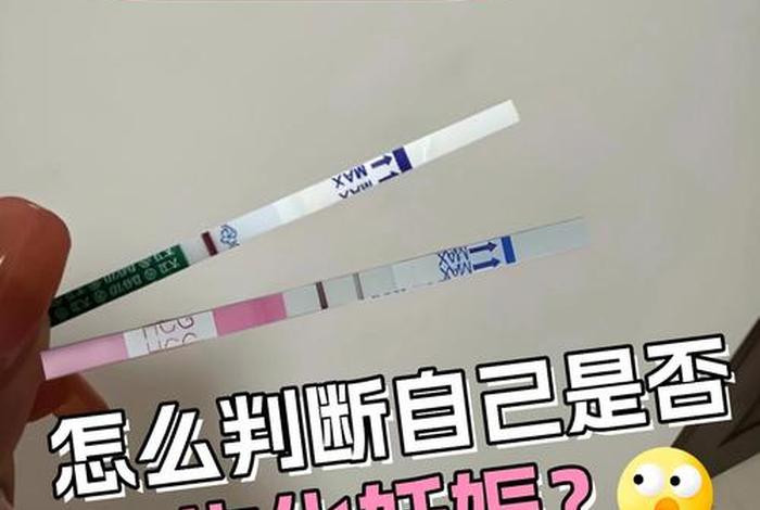 备孕生化是什么意思，备孕生化全套检查什么