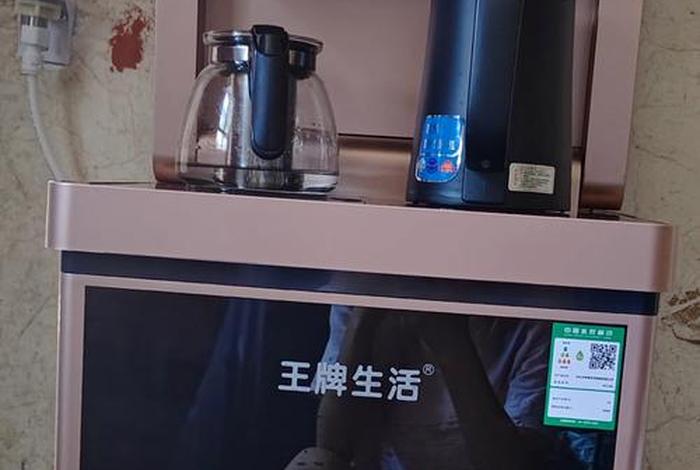 王牌生活净水器,王牌生活净水器怎么样 王牌生活净水器,王牌生活净水器怎么样