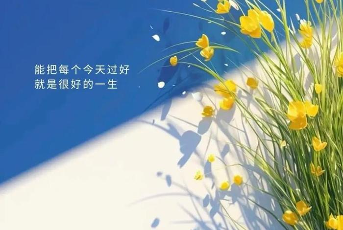 生活五个没必要是什么(生活没必要五颜六色,有时候简单才是最真实的) 生活五个没必要是什么(生活没必要五颜六色,有时候简单才是最真实的)