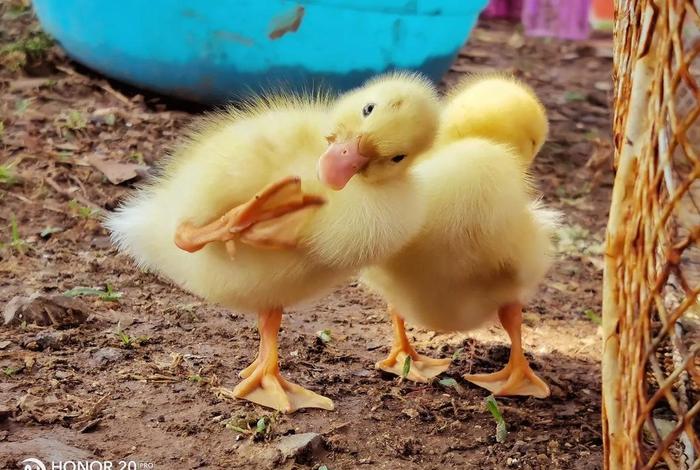 生活小镜头视频 - 生活小境头