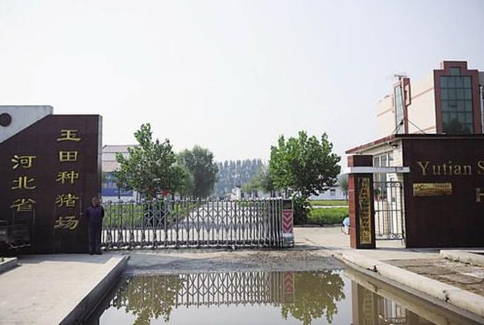 玉田生活网玉田生活资讯门户网,玉田生活资讯门户网站 玉田生活网玉田生活资讯门户网,玉田生活资讯门户网站