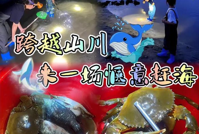 悠闲生活从赶海开始 - 赶海悠闲生活123 悠闲生活从赶海开始 - 赶海悠闲生活123
