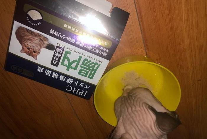 爱猫生活吧 爱猫生活吧益生菌 爱猫生活吧 爱猫生活吧益生菌