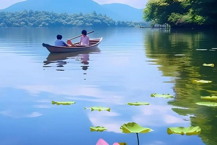 装点生活的意思 - 装点生活的美好 装点生活的意思 - 装点生活的美好