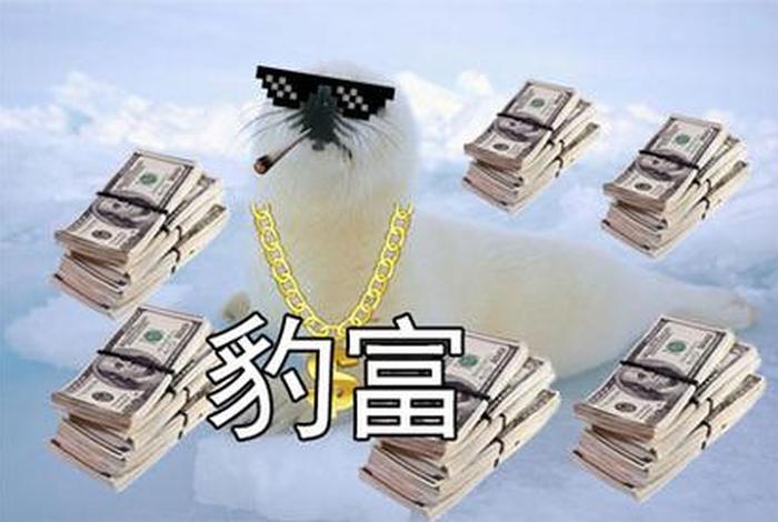 土豪的生活你绝对想象不到 土豪的生活表情包 土豪的生活你绝对想象不到 土豪的生活表情包