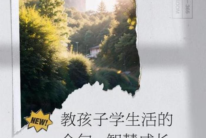 生活教会了我成长(生活教会了我成长,却没告诉我清醒) 生活教会了我成长(生活教会了我成长,却没告诉我清醒)